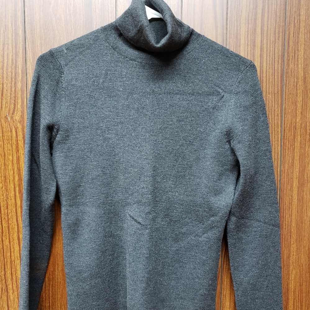 Banana Republic Merino Wool Turtleneck Sweater